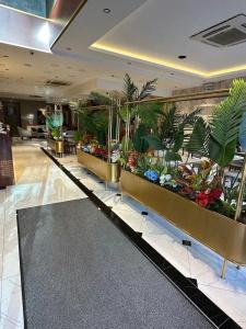 Grand Hamit Airport - 48