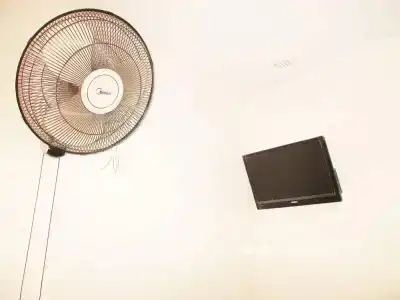 Shanghai HK - 22