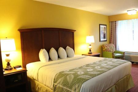 Rosen Inn International Near The Parks - 4