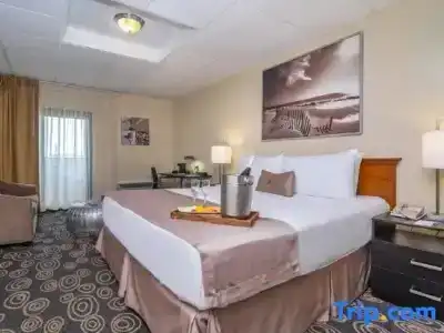 Regency Miami Airport - 65