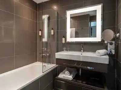 Mercure Clermont Ferrand centre Jaude - 9
