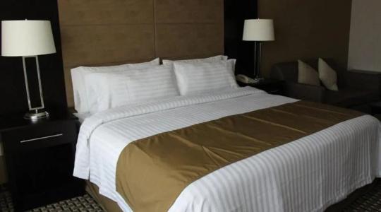 Holiday Inn Mexico Santa Fe, An Ihg - 20