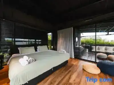 The Campian - 120
