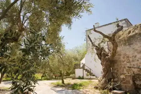 Masseria Spina Resort - 46