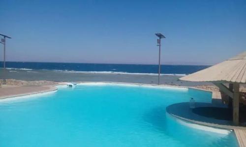 Dyarna Dahab - 23