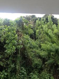 Holiday Inn Unawatuna - 65