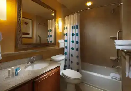 TownePlace Suites Houston Intercontinental Airport - 13