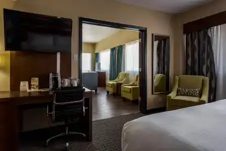 Holiday Inn Houston Downtown, An Ihg - 2