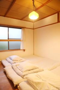Y Pub & Hostel Tottori - 3