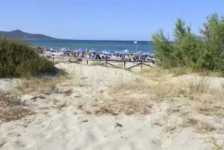Fior di Sardegna - 19