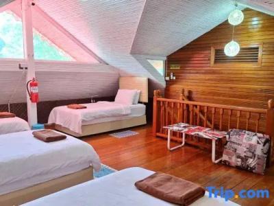 Alpha Gay Resort & Spa - 55