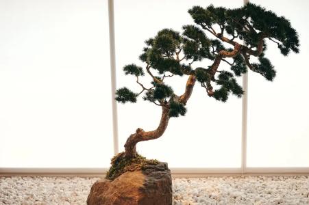 nol kyoto sanjo - 80