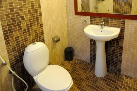 The Bouvice - 7