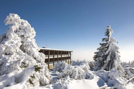 Nationalpark-Schliffkopf - 40