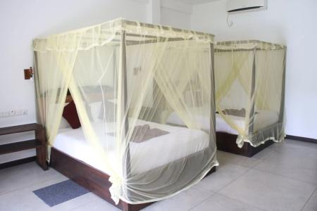 The Grand Yala - 3