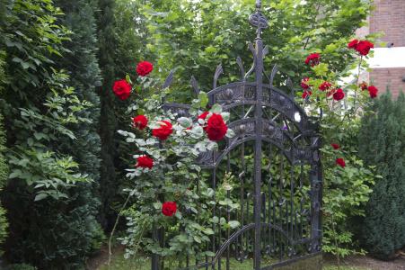 BoutiqueDreesen - Villa Godesberg - 8