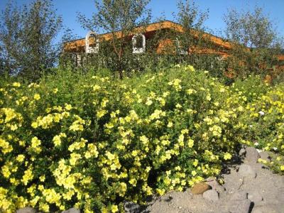 Minniborgir Cottages & Restaurant - 29