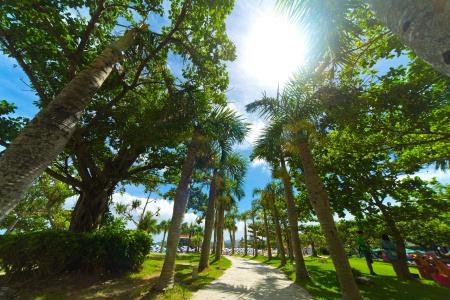 Renaissance Okinawa Resort - 49