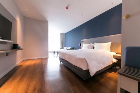 Holiday Inn Express Shanghai Tangzhen, An Ihg - 5