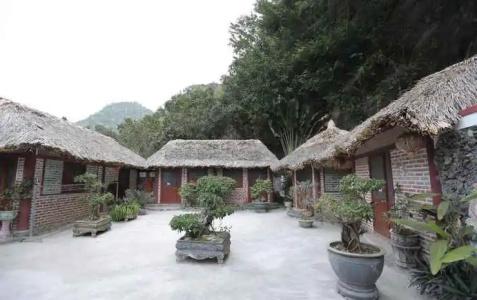 Cat Ba Mountain View - 14