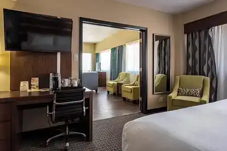 Holiday Inn Houston Downtown, An Ihg - 103