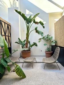Horti 14 Borgo Trastevere - 78