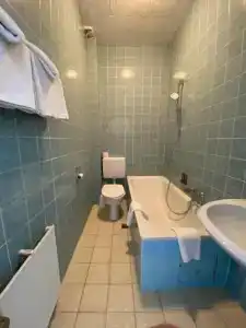 Waldhotel - 7