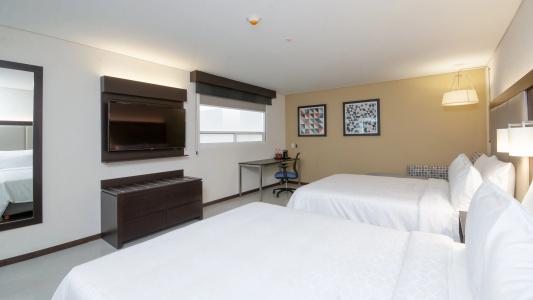 Holiday Inn Express - Mexico Basilica, An Ihg - 29