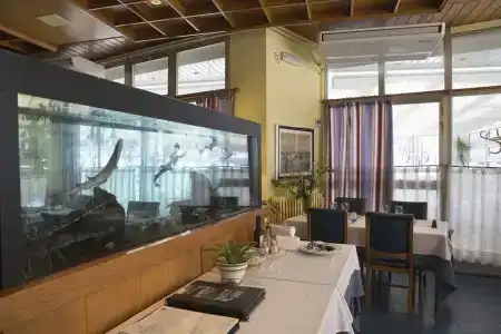 Rovira - 22