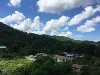 Horsehill Sriracha - 14