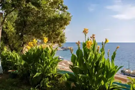 Troas Beach - 34