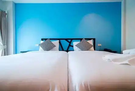 Sleep Whale - 50