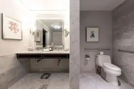 Waldorf Astoria Chicago - 85
