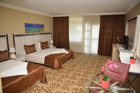 Atamer Doga Resort - 1