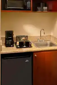 SpringHill Suites by Marriott Atlanta Buckhead - 20