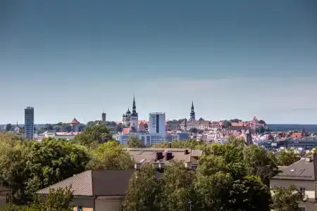 U11 - 42
