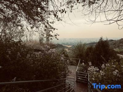Tigerlily - 72