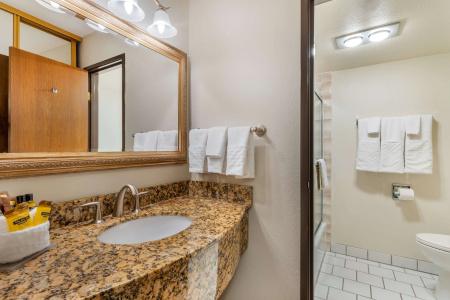 Best Western Plus Inn - 52