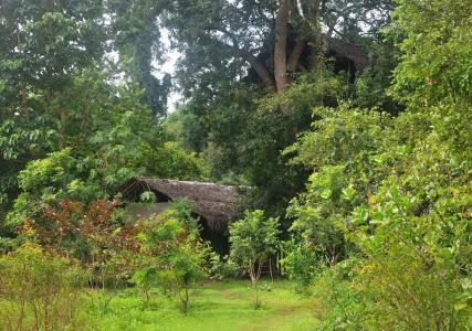 Back of Beyond - Dehigaha Ela - 35