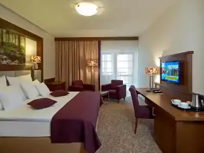 Mercure Krynica Zdrój Resort&Spa - 45