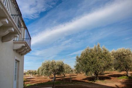 Zahir Country House - 15