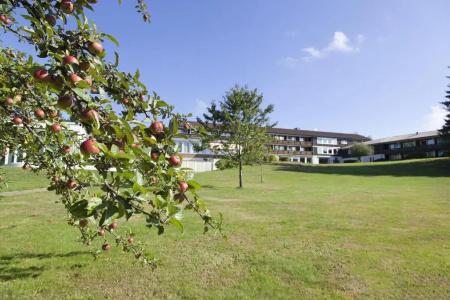 Schwarzwald Freudenstadt - 25