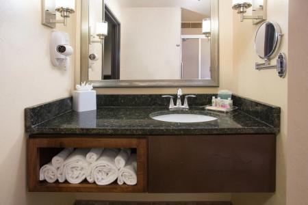 Holiday Inn & Suites Downtown, an IHG - 9