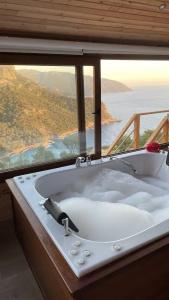 Olive Garden Kabak - 49