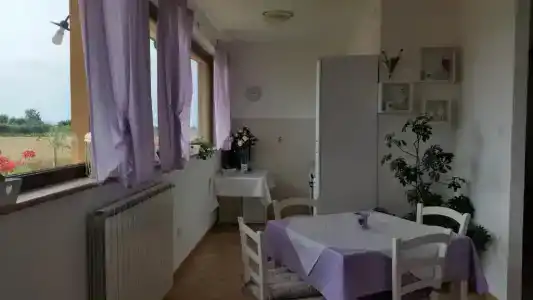 b&b Le Rose - 14