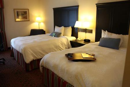 Hampton Inn Toronto-Mississauga - 5