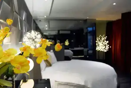 Bonita Signature - 28
