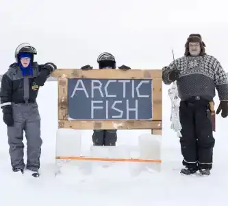 Arctic Fox Igloos - 13