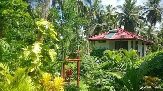 Good Karma Ayurvedic Resort - 45