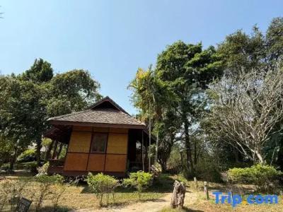 Baan Krating - Sha Plus - 92